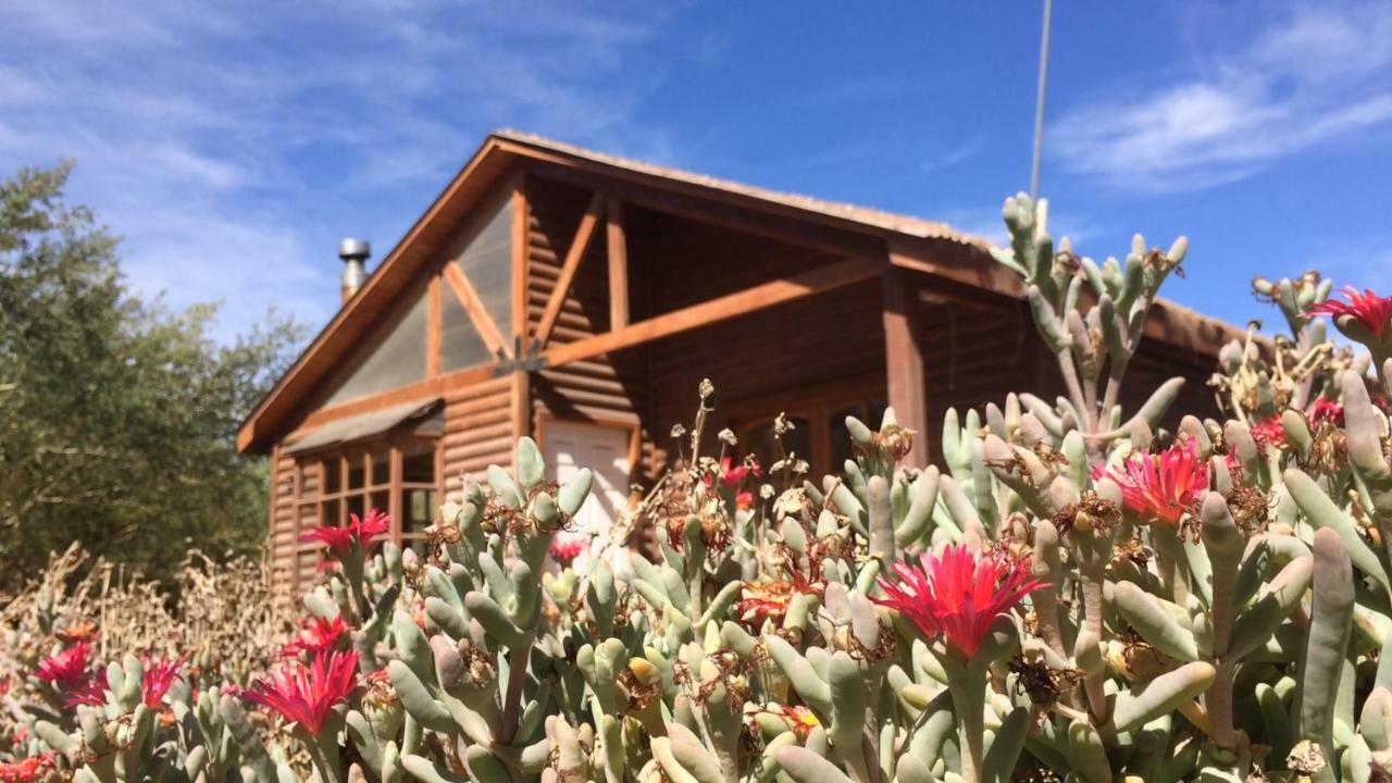 Cabanas Dona Juanita Σαν Πέδρο ντε Ατακάμα Εξωτερικό φωτογραφία